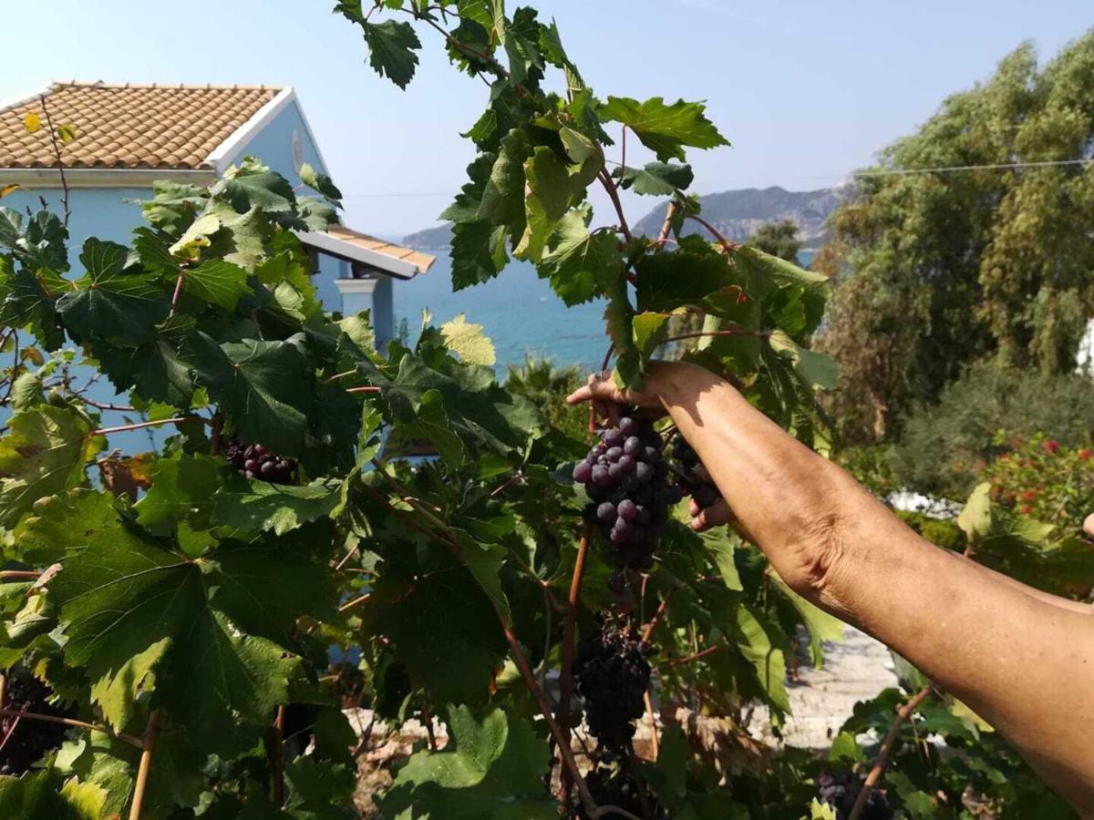 Cozy Apartment Few Mins From Beach Corfu Agios Georgios Pagon Eksteriør billede