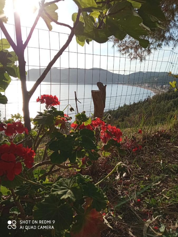 Cozy Apartment Few Mins From Beach Corfu Agios Georgios Pagon Eksteriør billede